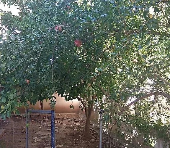 Apartamento Rodi House *