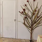 Rodi House نافبليو