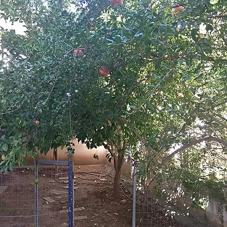 דירה Rodi House *